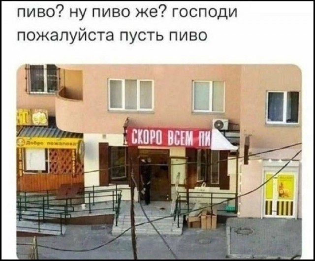 картинка b9e6fb6840 21061203
