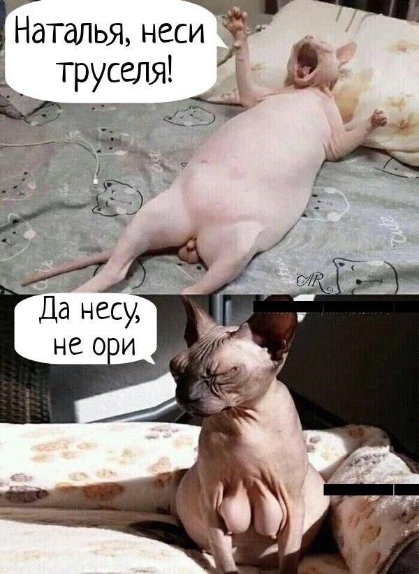 картинка bb5c9ad0d0 21076717