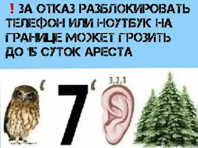 картинка bb5d6cc0a4 21119094
