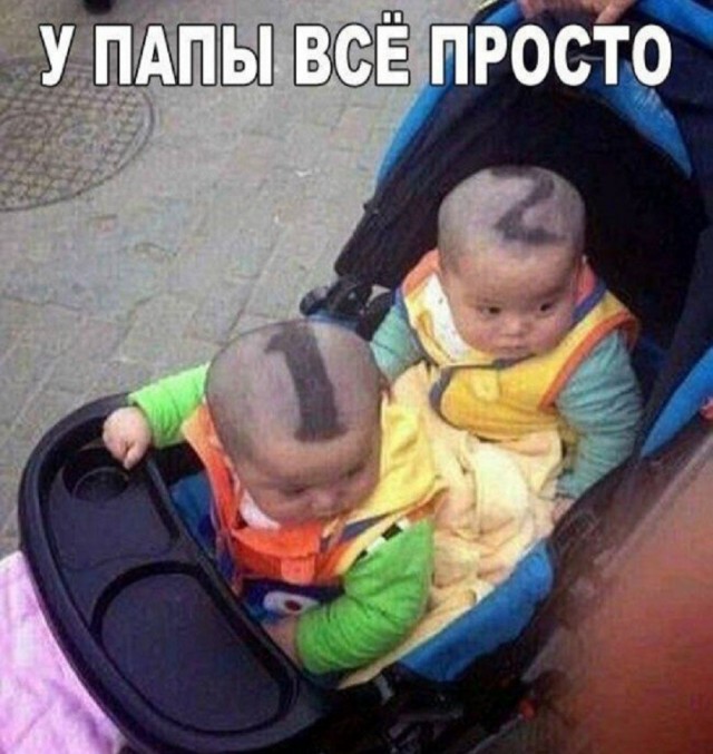 картинка bb9a402d0b 21119098