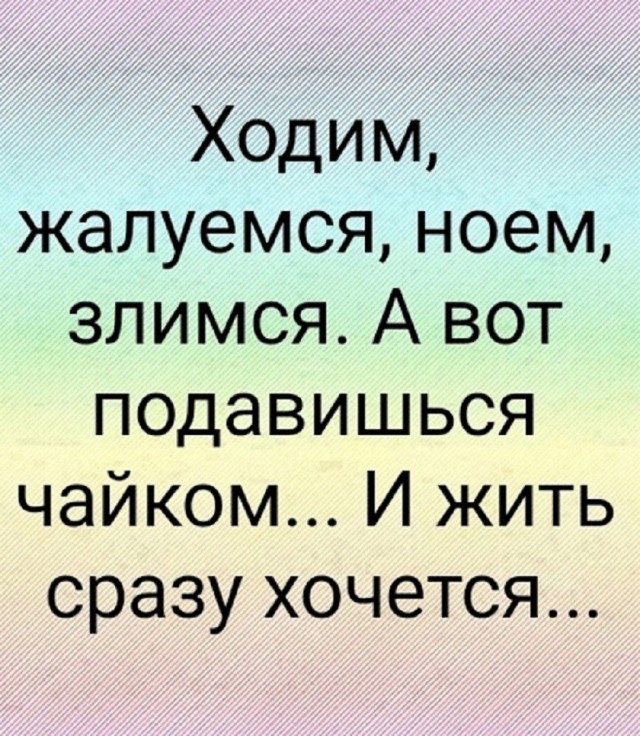картинка bd0819f840 21061189