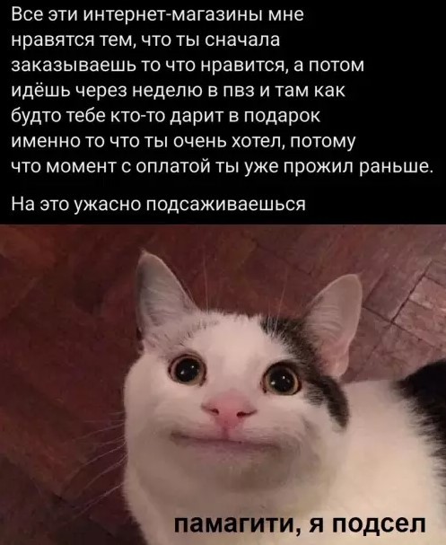 картинка bf6fb26a5d 21108072