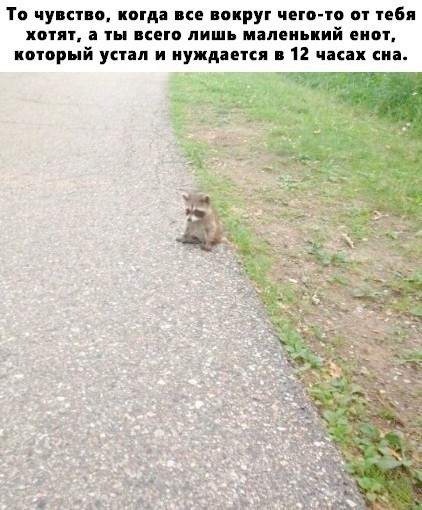 Устали от серых будней? У нас есть «лекарство»! 💊 Устали от серых будней? У нас есть «лекарство»! 💊 Друзья, сохраняйте, абсурдного, юмора, которого, сводит, скулы, Листайте, делитесь, которых, нужен, заряд, позитива👇, Заряжаемся, хорошим, настроением, прямо, узнаешь, ситуаций, знаем
