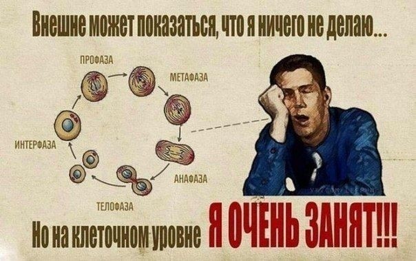 картинка c646d0547a 21076344