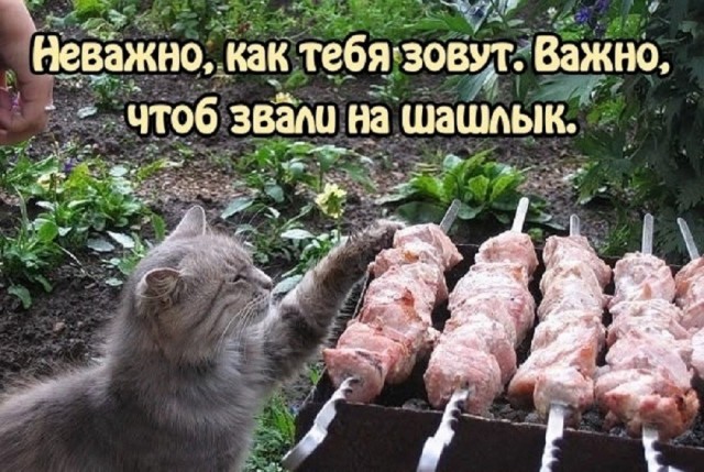 Среда — это маленькая пятница, а значит, пора выдохнуть! 🥂 Середина, поднимут, пролетит, пусть, коллегами, делитесь, смейтесь, улыбкойЛистайте, выходных, дотянуть, помогут, настроение, точно, недели, которые, мемов, отборных, порцию, Собрали, приятнее