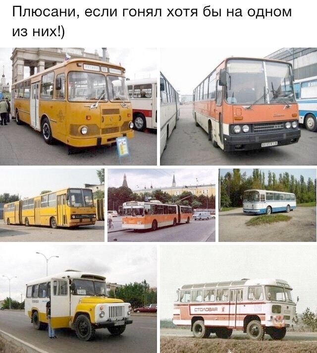 картинка c90ec2c199 21061336
