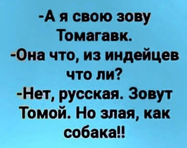 картинка cc3c6e8d65 21057332