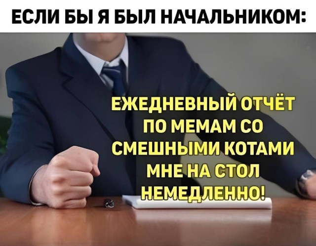 картинка ccf02ecb7e 21091296