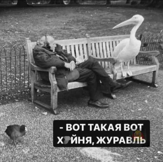 Устали от серых будней? У нас есть «лекарство»! 💊 Устали от серых будней? У нас есть «лекарство»! 💊 Друзья, сохраняйте, абсурдного, юмора, которого, сводит, скулы, Листайте, делитесь, которых, нужен, заряд, позитива👇, Заряжаемся, хорошим, настроением, прямо, узнаешь, ситуаций, знаем