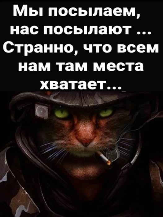 картинка cfe5ed5872 21119236