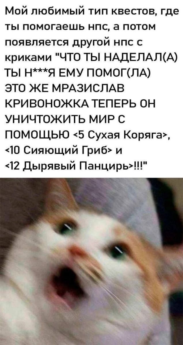 картинка d03e2322d2 00