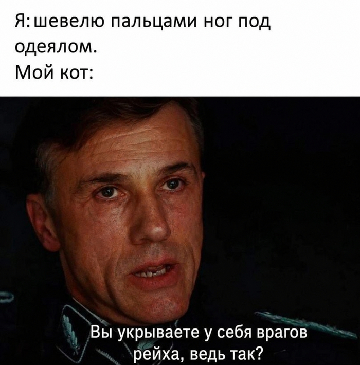 картинка d0a81e67cd 0000