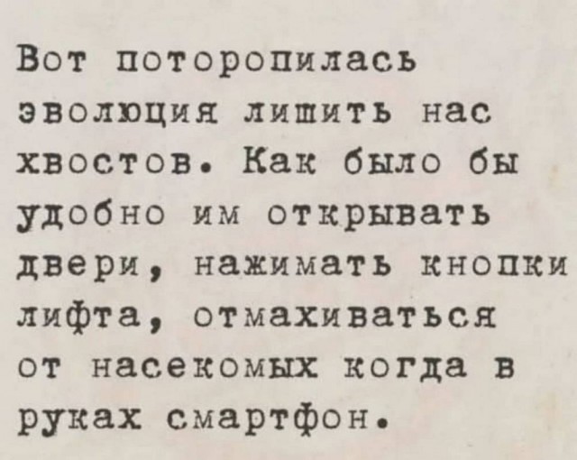 картинка d19f189ab0 21091854