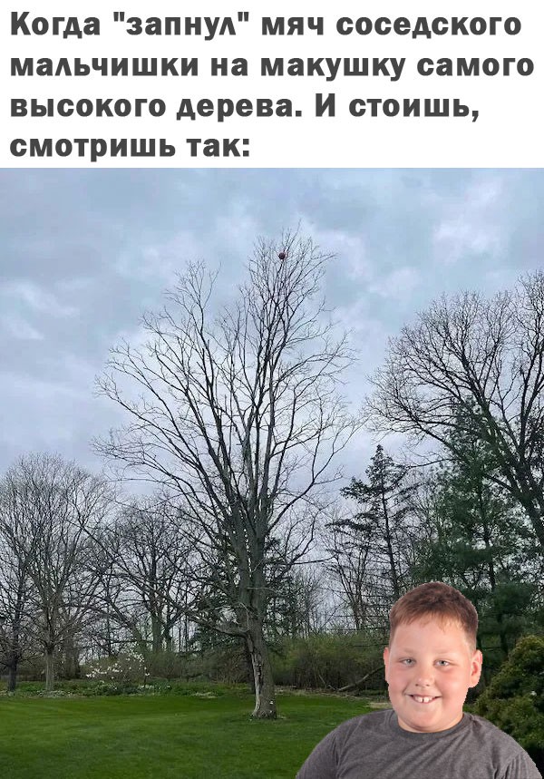 Ваша доза хорошего настроения на выходные ☕️✨ Ваша доза хорошего настроения на выходные ☕️✨ Рабочая, свежую, заряжаться, погнали, поудобнее, устраивайтесь, покрепче, Заваривайте, улыбнуться, заставят, точно, которые, мемов, отборных, порцию, васСобрали, неделя, сделали, контента, годного