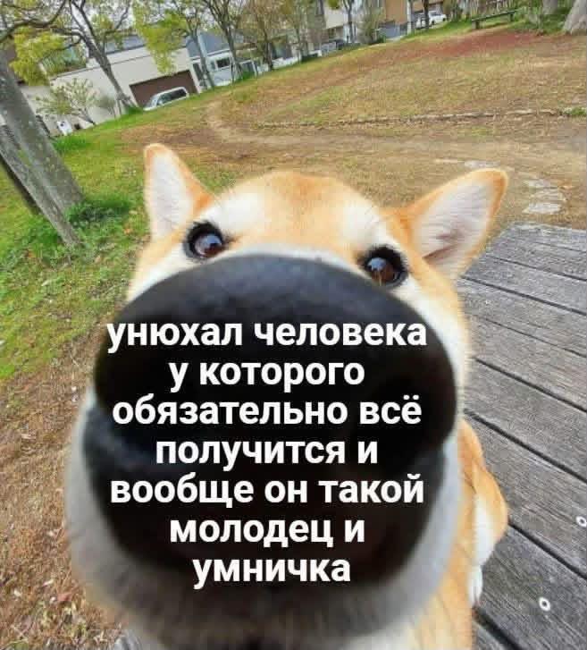 картинка d4fe4a392b novyj sbornik memov uzhe zdes 20