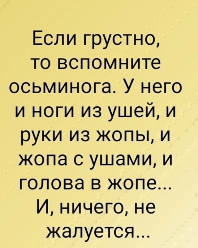 картинка d52552495e 21057312
