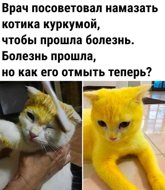 Понедельник — день тяжёлый? Только если вы сами решите сделать его таким! 😄 решили, Держите, увольнении, мыслей, прошло, понедельника, чтобы, подборку, смеха, начинать, порции, хорошей, обязателен, конечно, только, нужно, неделю, переезде