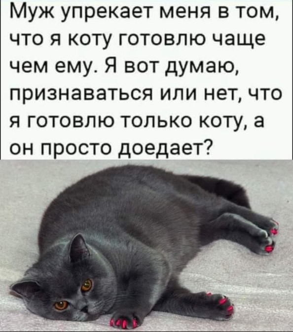 картинка d564575456 ostorozhno uroven toksichnosti zashkalivaet 6