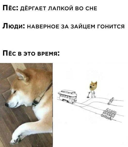 Среда — это маленькая пятница! Ловите порцию мемов, чтобы дотянуть до выходных с улыбкой 😄 Среда, недели, подборку, смотрим, задачи, рабочие, ненадолго, откладываем, позитивом, дыханииЗаряжаемся, одном, пролетела, половина, маленькая, вторая, чтобы, мемов, свежих, порцию, собрали