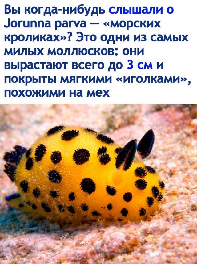 Среда — это маленькая пятница! Ловите порцию мемов, чтобы дотянуть до выходных с улыбкой 😄 Среда, недели, подборку, смотрим, задачи, рабочие, ненадолго, откладываем, позитивом, дыханииЗаряжаемся, одном, пролетела, половина, маленькая, вторая, чтобы, мемов, свежих, порцию, собрали