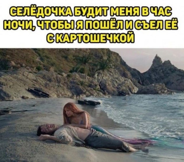 картинка d6ddcb16e0 21076294
