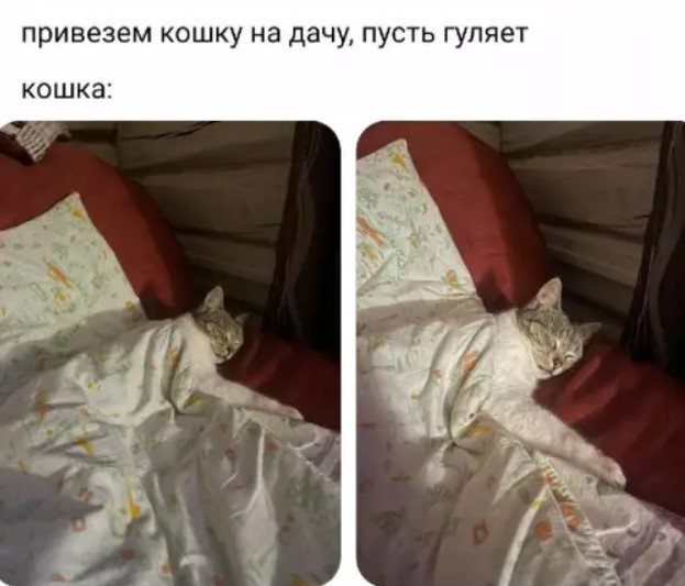 Понедельник — день тяжелый? Только если вы не решили начать его с порции хорошего настроения! ☕️✨ Понедельник — день тяжелый? Только если вы не решили начать его с порции хорошего настроения! ☕️✨ сегодня, знаем, смейтесь, Надеемся, помогут, выдохнуть, улыбнуться, настроиться, продуктивный, легкий, ладЛистайте, карусель, помните, начале, пятницы, осталось, всего, какой, Делитесь, комментариях