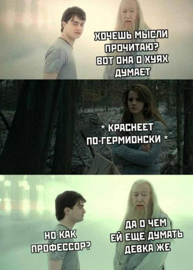 картинка d8e5b8f499 21091422