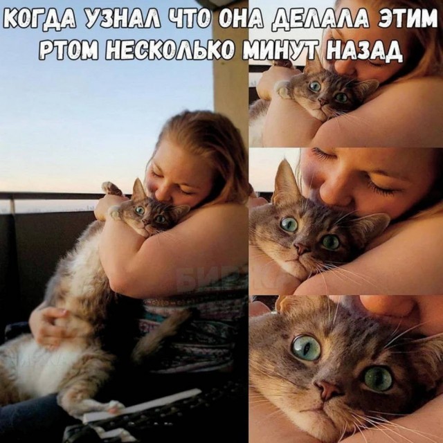 Среда — это маленькая пятница, а значит, пора выдохнуть! 🥂 Середина, поднимут, пролетит, пусть, коллегами, делитесь, смейтесь, улыбкойЛистайте, выходных, дотянуть, помогут, настроение, точно, недели, которые, мемов, отборных, порцию, Собрали, приятнее