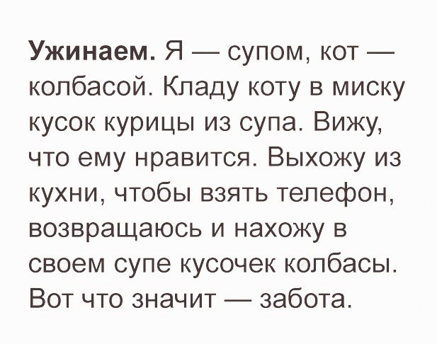 картинка de2f3b86c6 21061339