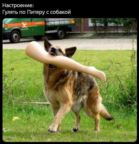 картинка de4678fc86 0000000000000000