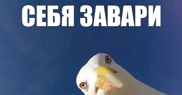 картинка deb152c456 sreda jeto malenkaja pjatnica 3