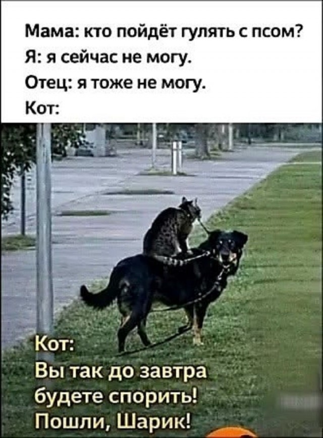 Улыбнись этому дню! Сборник самых смешных мемов и прикольных картинок для твоего позитива! которые, точно, заставят, самые, уморительных, собрали, чтобы, сказать, абсурдный, повороты, интерпретациюНеожиданные, смешную, подарили, каждым, происходят, моменты, бывает, юмораСитуации, когда, шедевр