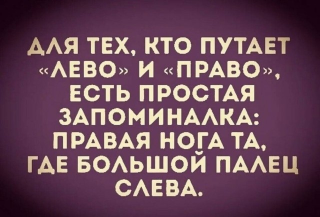 картинка e1e23a1eb3 21091868