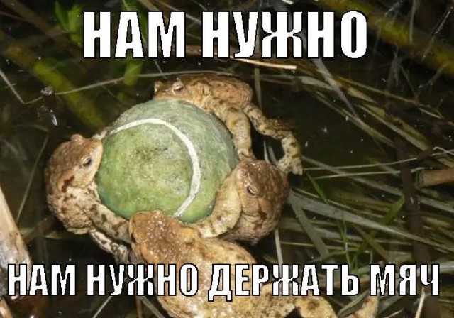 картинка e27452a37b 21078467