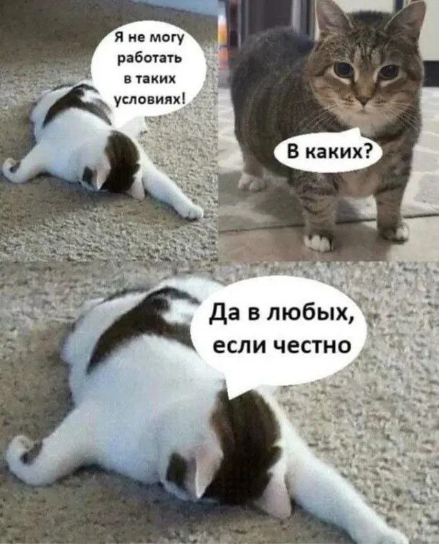 картинка e2f8fce6d9 ostorozhno dalshe budet ochen smeshno no tolko dlja teh kto cenit chernyj jumor 17