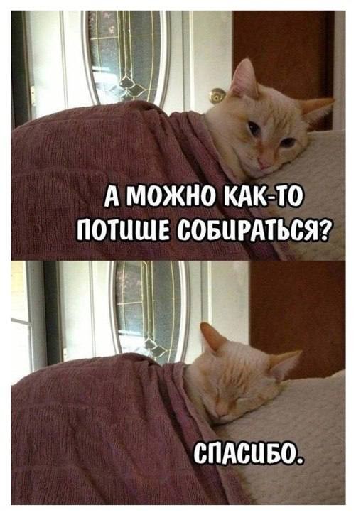 картинка e52142a0b0 ostorozhno uroven toksichnosti zashkalivaet 20