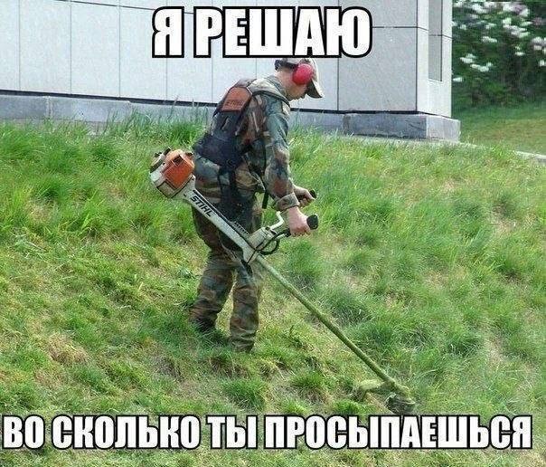картинка e60fa58f58 21076334