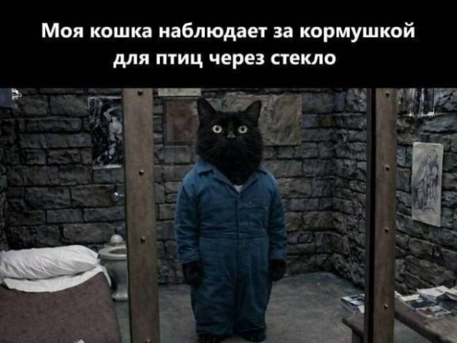 картинка e6b362c3f4 000000000000000000