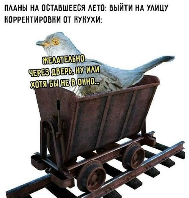 Понедельник — день тяжелый? Только если вы не решили начать его с порции хорошего настроения! ☕️✨ Понедельник — день тяжелый? Только если вы не решили начать его с порции хорошего настроения! ☕️✨ сегодня, знаем, смейтесь, Надеемся, помогут, выдохнуть, улыбнуться, настроиться, продуктивный, легкий, ладЛистайте, карусель, помните, начале, пятницы, осталось, всего, какой, Делитесь, комментариях