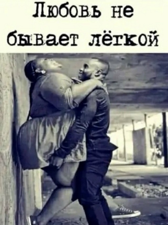 картинка e9b577c31d 21076662