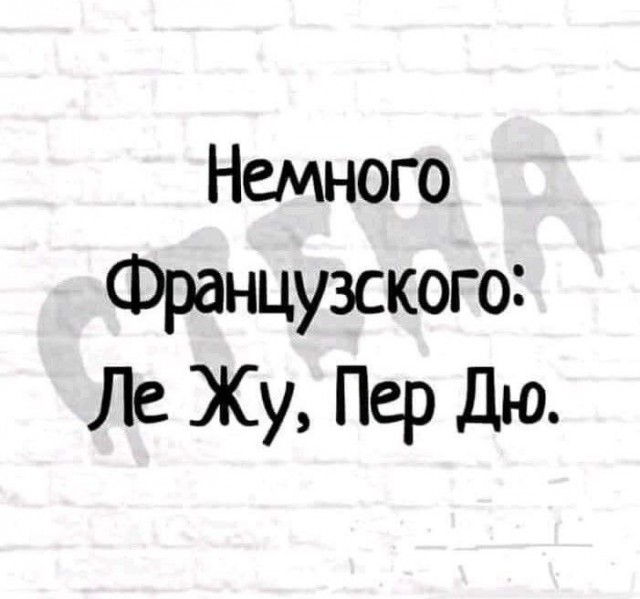 картинка ea51c8cc81 21091723