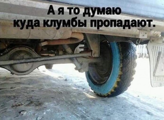 картинка eae314f056 21076072
