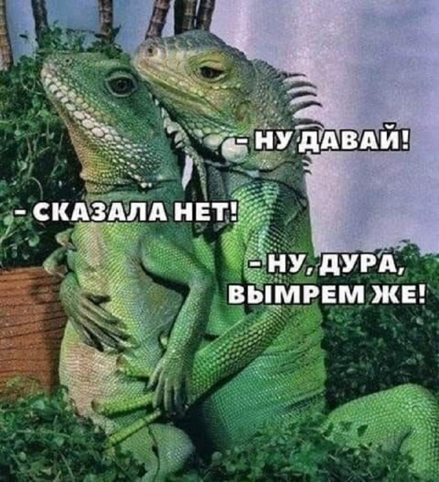 картинка eb098ad5e1 21112921