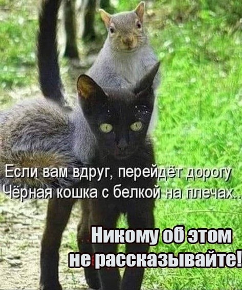 картинка ed6b91ec7f 21122046