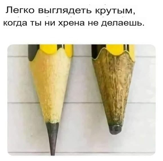 картинка f01515a81c 21076320