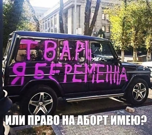 картинка f0ed1db53c 21061251