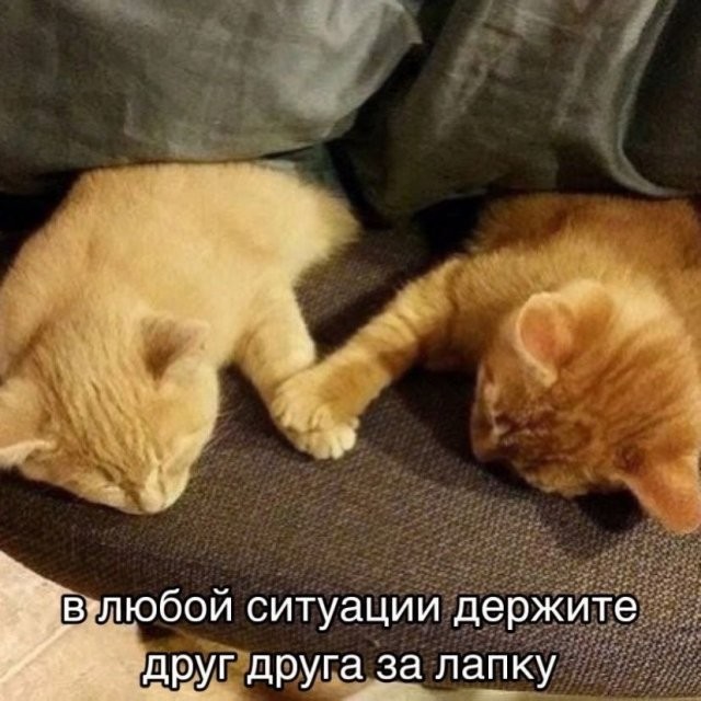 Среда — это маленькая пятница! Ловите порцию мемов, чтобы дотянуть до выходных с улыбкой 😄 Среда, недели, подборку, смотрим, задачи, рабочие, ненадолго, откладываем, позитивом, дыханииЗаряжаемся, одном, пролетела, половина, маленькая, вторая, чтобы, мемов, свежих, порцию, собрали