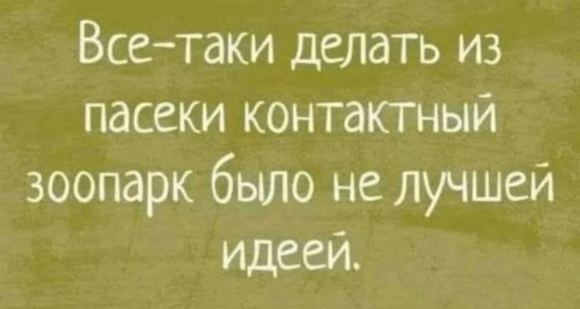 картинка f1ed559767 21061420