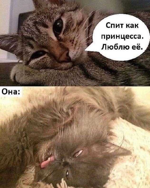 картинка f2934e5ed8 00000000