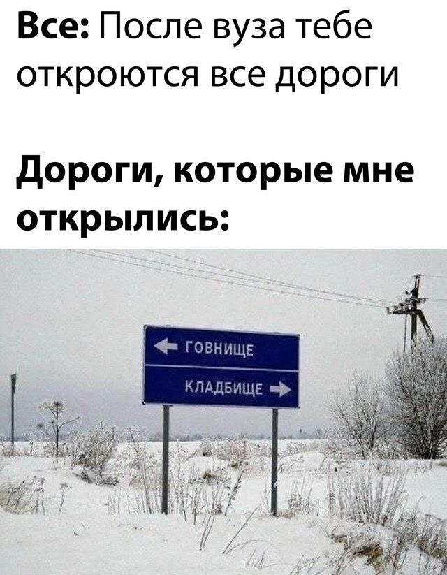 картинка f53726e919 1784350722